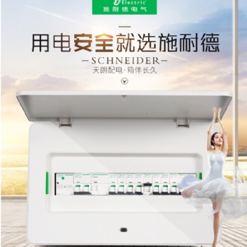 青島施耐德開關雙層門一鍵啟動配電箱