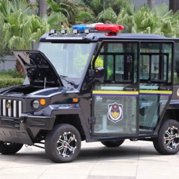 貴陽電動(dòng)巡邏車廠家**
