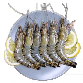 進口凍魚凍蝦進口**流程及許可證要求