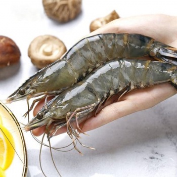 進(jìn)口海鮮蝦蟹魚報(bào)關(guān)流程及相關(guān)單證