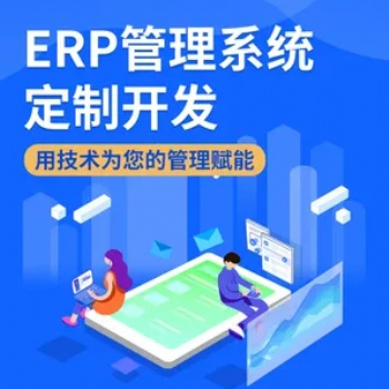企業(yè)ERP管理軟件開發(fā)