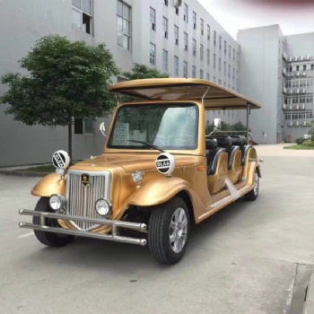電動(dòng)老爺車系列\(zhòng)DN-GB08-2