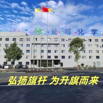 滁州不銹鋼錐形變節電動手動旗桿廠家-可上門安裝