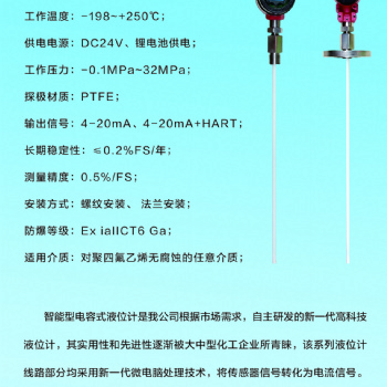 FY-001電容射頻液位計(jì)
