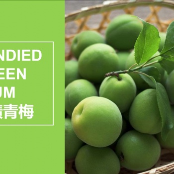 同富康青梅發(fā)酵果OEM貼牌代加工