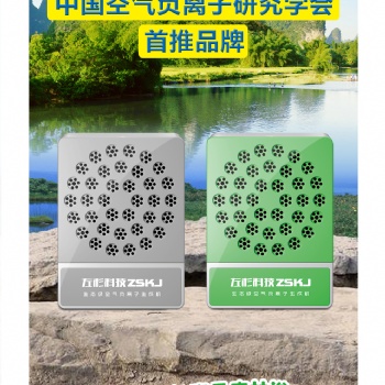 左杉 負離子發(fā)生器家用負氧離子機空氣凈化器