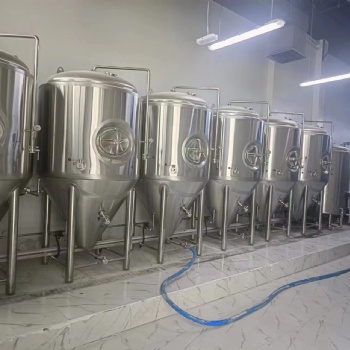 大型精釀**設備釀酒設備哈爾濱**廠**設備