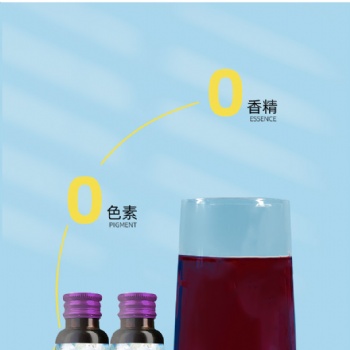 桑葚酵素飲品批發(fā)各類果蔬濃縮汁益生菌飲品代加百未草工