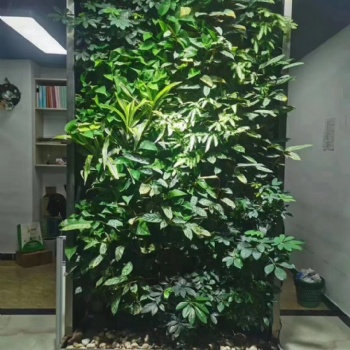 專業制作安裝植物墻立體綠化