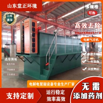 電催化氧化設備 無需加藥電芬頓電解污水處理設備 電絮凝氣浮機