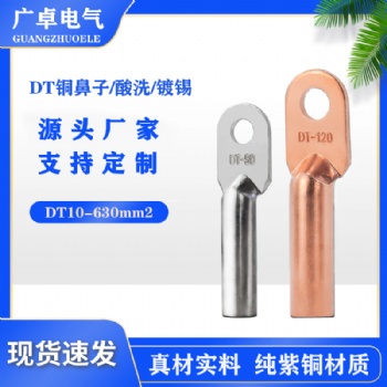 DT-70堵油銅鼻子 廠家直發(fā)國標(biāo)DT銅鼻子純紫銅線鼻子掛錫銅接線耳
