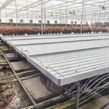 多種植物栽培潮汐苗床 大棚溫室水培苗床 加厚塑料面板抗壓強(qiáng)