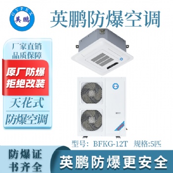 英鵬GYPEX天花式防爆空調BFKG-12T