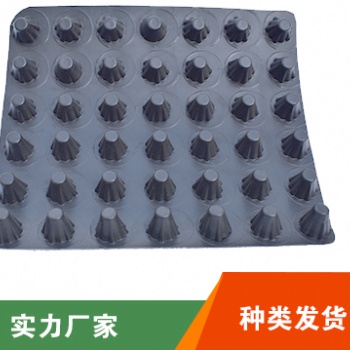 保定排水板規格齊全施工便捷