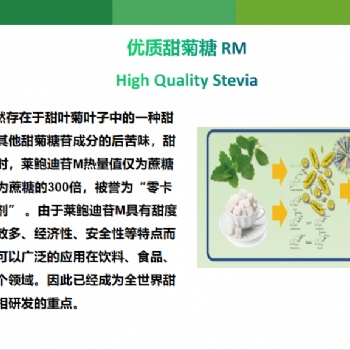 山東三元去苦味優(yōu)質(zhì)甜菊糖（萊鮑迪苷M）