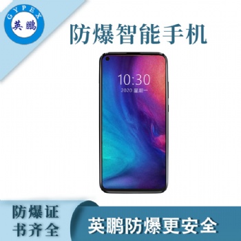 英鵬防爆智能手機八核觸摸屏