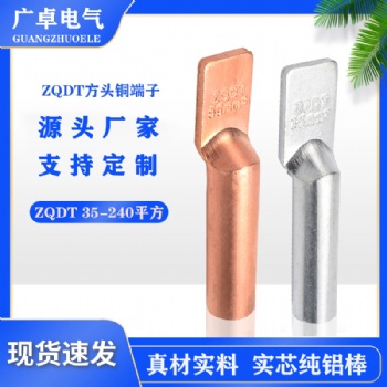廠家加工非標(biāo)定制ZQDT方頭無(wú)孔直板設(shè)備接線不帶螺絲孔掛錫