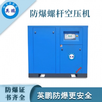 防爆永磁變頻空壓機(jī)YPHB-55EX(CFT)