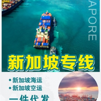 智慧國(guó)際物流新加坡海運(yùn)雙清到門(mén)