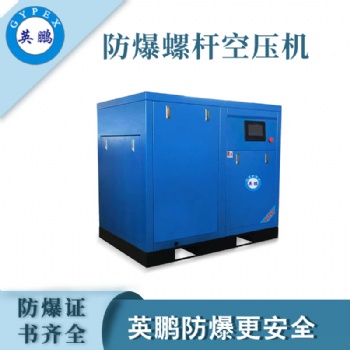 英鵬防爆永磁變頻空壓機(jī)YPHB-132EX(CFT)
