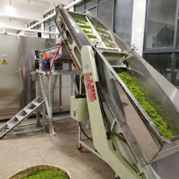 新型三層微波光波茶葉殺青機(jī),山東康來供應(yīng)