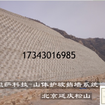 河北唐山草坪磚生產(chǎn)廠家