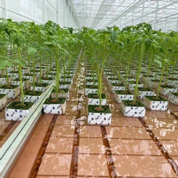 博超多肉種植潮汐苗床定制 ABS育苗盤過濾網(wǎng)上下水