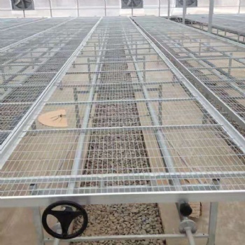 水肥一體化植物種植苗床 玻璃溫室移動(dòng)苗床 使用方便