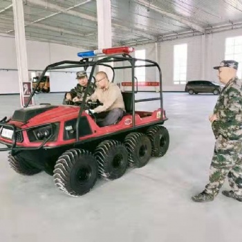 霸王龍BWL全地形水陸兩棲車**的兩棲“鋼鐵猛獸”