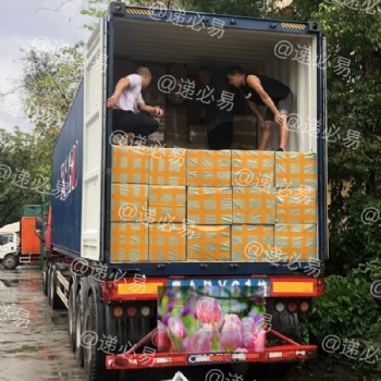 出口東南亞國家專線十年一手莊物流經(jīng)驗