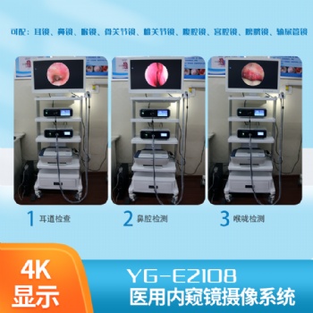 可視采耳設(shè)備**排名 可視采耳儀器型號價(jià)格多少錢 可視采耳儀器尺寸大小 可視采耳設(shè)備操作過程