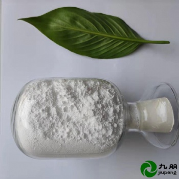 九朋抗靜電粉導(dǎo)電材料AZO30nm氧化鋅粉末CY-J30L
