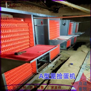 養(yǎng)雞場自動撿蛋機 自動翻蛋機 撿蛋器 全自動養(yǎng)雞設備