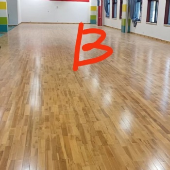 實(shí)木質(zhì)量 匠心工藝河北高品質(zhì)運(yùn)動(dòng)木地板