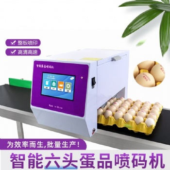 雞蛋六頭噴碼機，蛋品噴碼打碼機