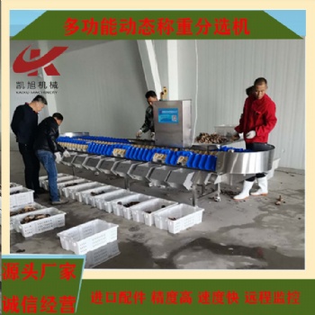 枇杷全自動(dòng)稱重分選機(jī)橄欖重量分級(jí)分揀機(jī)稱重機(jī)