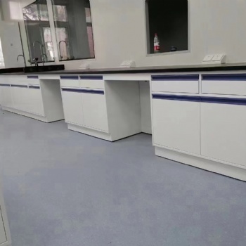 灌陽實(shí)驗(yàn)室家具-實(shí)驗(yàn)臺(tái)-通風(fēng)柜-儀器臺(tái)-試劑柜廠家**