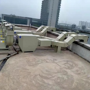 宜州實驗室廢氣處理設備-酸霧噴淋塔-活性炭吸附箱河池工廠