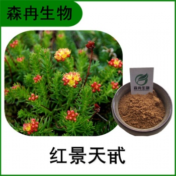 森冉生物 紅景天** 紅景天甙 廠家現(xiàn)貨供應(yīng)