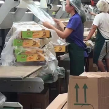 食品廠普工加工員出國勞務(wù)加盟正規(guī)工簽月薪3萬