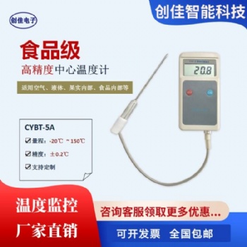 CYBT-**便攜式手持中心溫度計果心溫度計探針溫度計熱力供熱專用定制
