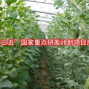 PO膜系列--光能寶1號簡介