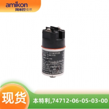 本特利高溫探頭74712-06-05-03-00