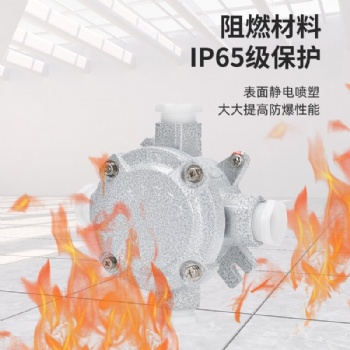 防爆接線盒防爆接線盒