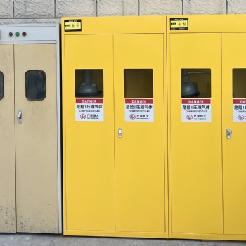 廠家** 安全氣瓶柜 全鋼樣品柜 器皿柜 pp通風柜