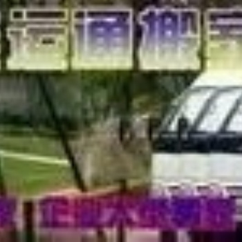 大連金石灘運(yùn)通長(zhǎng)途搬家到沈陽(yáng)市電話