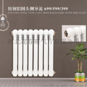 鑄鐵圓頭側(cè)倒流散熱器 優(yōu)質(zhì)噴塑 耐用環(huán)保