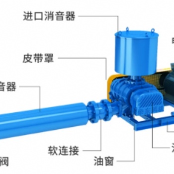魚(yú)塘曝氣羅茨鼓風(fēng)機(jī)廠家