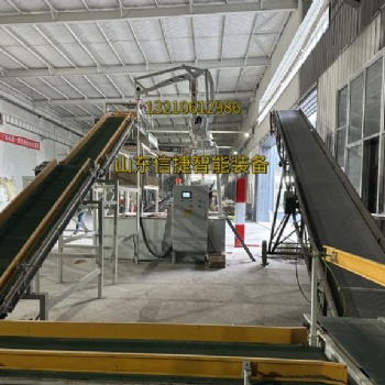 **式裝車機和軌道式裝車機的特點及應用