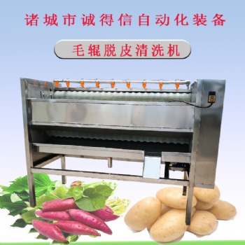 廠家供應果蔬平行毛輥脫皮設備 桔梗黨參全自動脫皮機